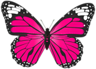 Pink Butterfly PNG Transparent Clip Art Image | Gallery Yopriceville