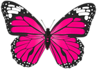 Pink Butterfly PNG Transparent Clip Art Image