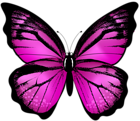 Pink Butterfly Transparent Clip Art Image