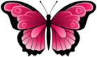 Pink Butterfly Transparent Clipart