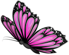 Pink Butterfly Transparent PNG Clip Art Image | Gallery Yopriceville