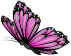 Pink Butterfly Transparent PNG Clip Art Image