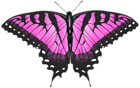 Pink Butterfly Transparent PNG Clip Art Image