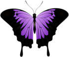 Purple Butterfly Decorative Transparent Image
