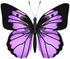 Purple Butterfly PNG Transparent Clipart