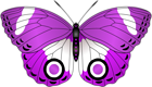 Purple Butterfly Transparent Clip Art Image