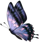 Purple Flying Butterfly PNG Clipart