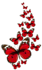 Red Butterflies Vector PNG Clipart