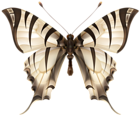 Tiger Butterfly PNG Clip Art Image