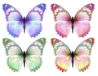Transparent Butterfly PNG Clipart
