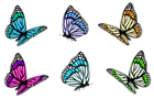 Transparent Butterfly Set PNG Clipart