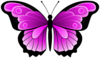Violet Butterfly Transparent Clipart