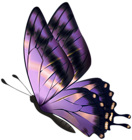 Violet Flying Butterfly PNG Clipart