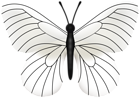 White Butterfly PNG Transparent Clipart