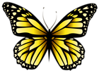 Yellow Butterfly PNG Clipar Image