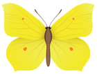 Yellow Butterfly PNG Clipart Image