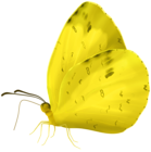 Yellow Butterfly PNG Transparent Clipart