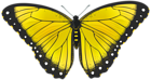 Yellow Butterfly Transparent PNG Clip Art Image | Gallery Yopriceville