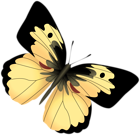 Yellow and Black Butterfly PNG Clipart Image
