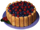 Charlotte Cake with Raspberries and Blueberries PNG Picture