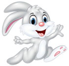Bunny Cartoon PNG Clip Art Image