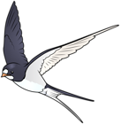Cartoon Bird PNG Transparent Image
