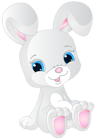 Cute Bunny PNG Clip Art Image