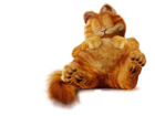 Cute Garfield PNG Free Picture