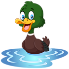 Duck PNG Clip Art Image