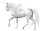 Fantasy Angel Unicorn PNG Clipart Picture