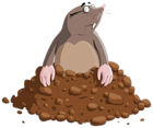 Mole Cartoon PNG Clipart Image