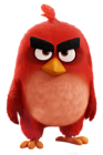Red Bird The Angry Birds Movie PNG Transparent Image