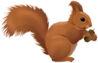 Squirrel Cartoon PNG Clipart