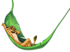 Timon PNG Clipart Picture