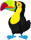 Toucan Cartoon PNG Clip Art Image