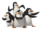 Transparent Penguins of Madagascar PNG Picture