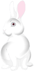 White Bunny Cartoon PNG Clip Art Image