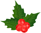 Chrismtmas Mistletoe PNG Transparent Clipart