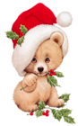 Christmas Bear with Mistletoe Transparent PNG Clipart