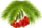 Christmas Holly Berries PNG Clip Art Image