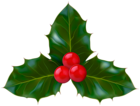 Christmas Holly Clip Art PNG Image