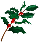 Christmas Holly Mistletoe Branch Clip Art