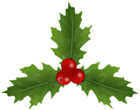 Christmas Holly Mistletoe Clip Art