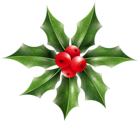 Christmas Holly Mistletoe Clip Art Image