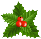 Christmas Holly Mistletoe PNG Clip-Art