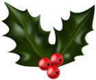 Christmas Holly Mistletoe PNG Clip Art