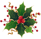 Christmas Holly Mistletoe PNG Clip Art Image