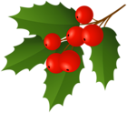 Christmas Holly Mistletoe PNG Clipart