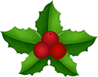 Christmas Holly Mistletoe Transparent Clip Art