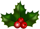 Christmas Holly PNG Clip Art